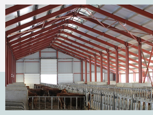 Строительство коровников в Томске