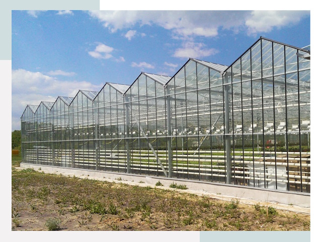 Строительство теплиц в Томск от 656 руб. за м²